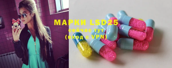 шишки Покров