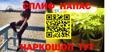 ПСИЛОЦИБИНОВЫЕ ГРИБЫ Кингисепп